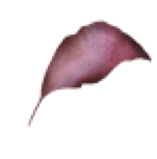 Decorative leaf