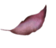 center-left-decorative-leaf
